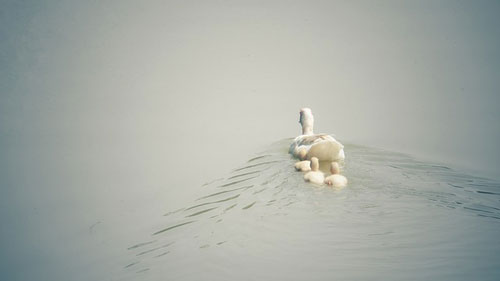 Don't follow for the sake of following.
