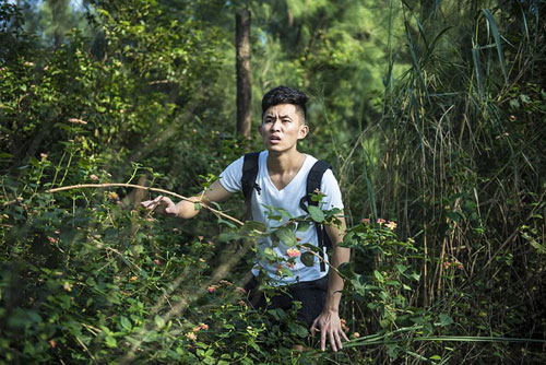 Wrong forest.