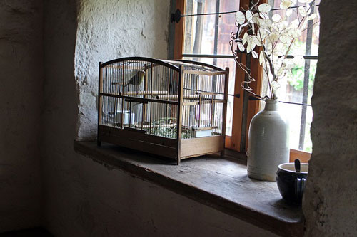Living in a cage.
