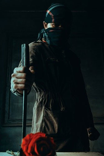 Won't someone please think of the ninjas?