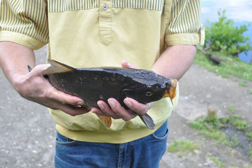 Now that's touching fish!