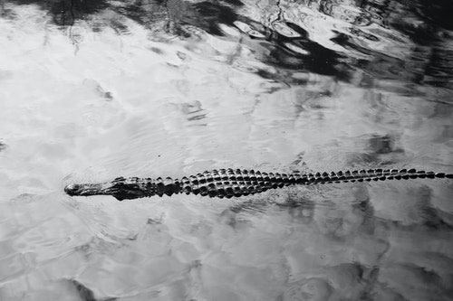 Terrifyingly calm waters.