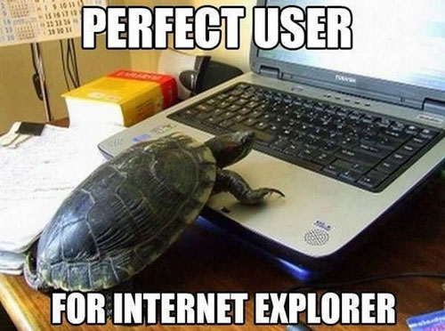 Turtle power!