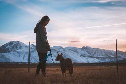 Everyone and their dog.