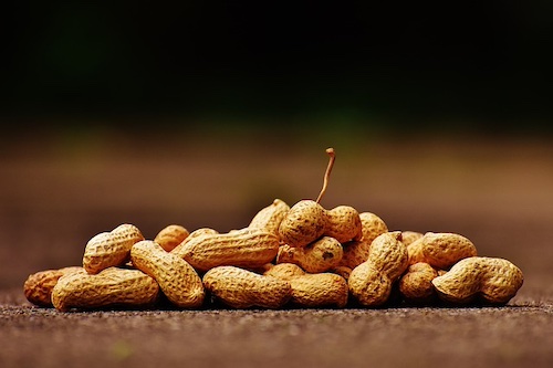 Peanuts, anyone?