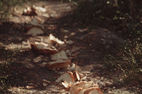 Leave us a trail!