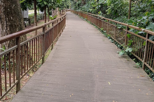 The wooden boardwalk Park Connector.