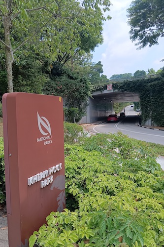 The underpass at the foot of Kheam Hock Park.