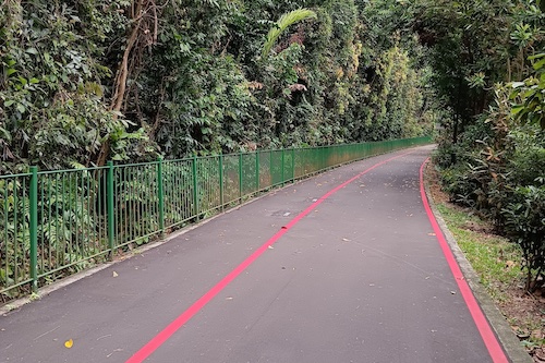 A nice ride along Lornie Road.