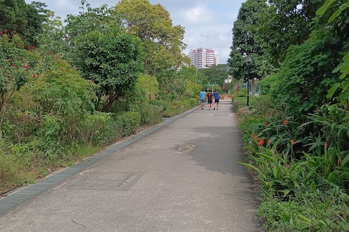 The track along Ang Mo Kio Linear Park and<br />Luxus Hills Park.