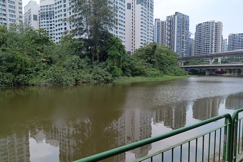 Breathtaking river view.