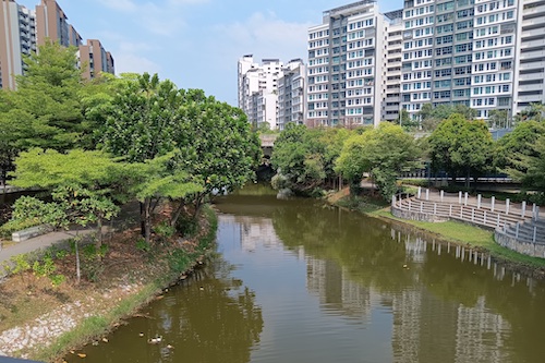 View from the bridge.