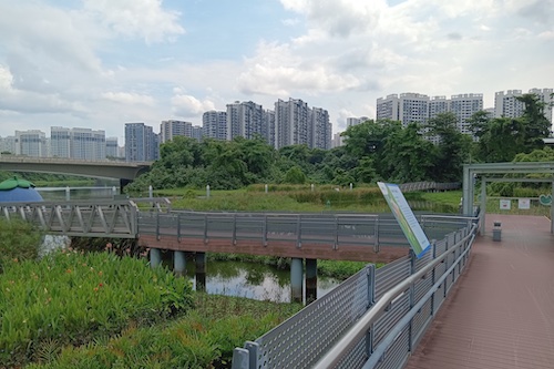 The bridge over the wetland.