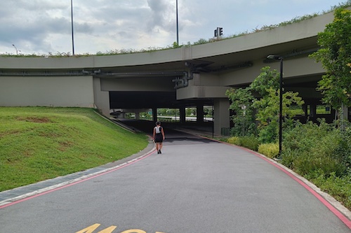 Road leading out of the park and under a flyover.