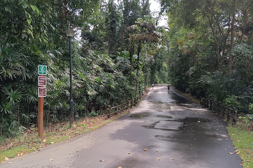 Riding through Bukit Batok Nature Park.